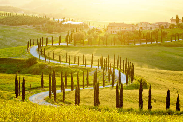 istock Landscape in Tuscany 1185213997