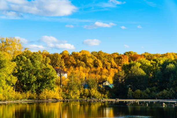 istock autumn landscape with blue sky and a small lake 1185214599