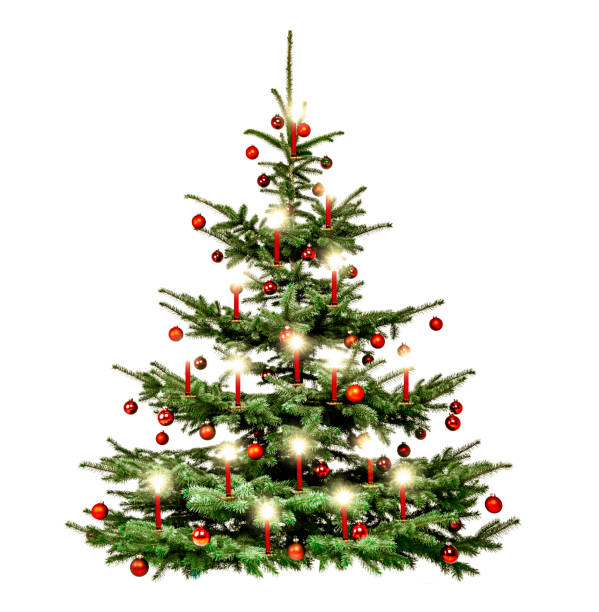 istock Beautiful Christmas tree with Christmas Baubles isolated 1185214624