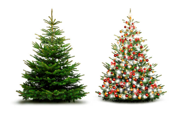 istock Beautiful Christmas tree with Christmas Baubles isolated 1185214905