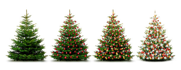 Beautiful Christmas tree with Christmas Baubles isolated stock photo
