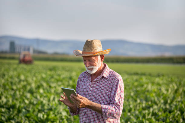 istock Farmer with tablet standing in soybean field 1185216098