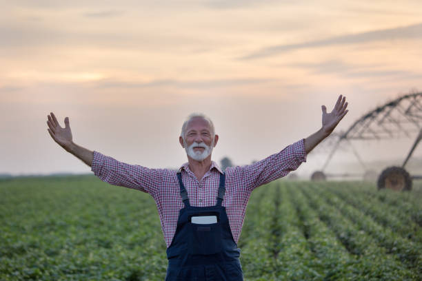 istock Happy farmer in field in front of iirigation system 1185216151