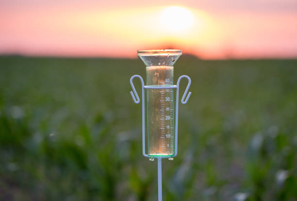 Rain gauge in field
