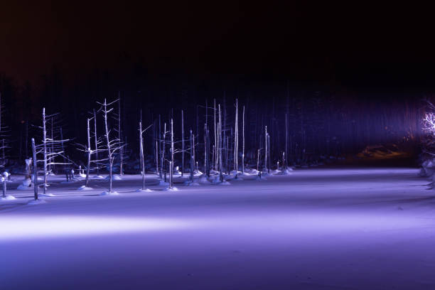 Winter lake being lighted up in Biei Winter lake being lighted up in Biei shirogane blue pond stock pictures, royalty-free photos & images