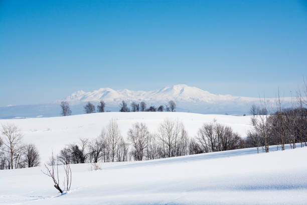 istock The snowy mountains and blue sky,Mt.Daisetuzan 1185221961