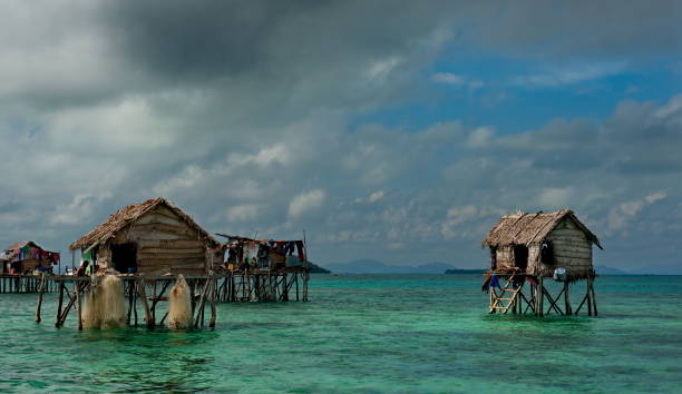 istock Tranquil life among the coral reefs 1185221977