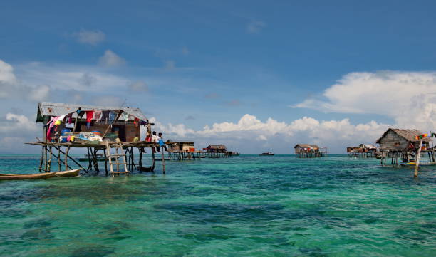 istock Tranquil life among the coral reefs 1185222001