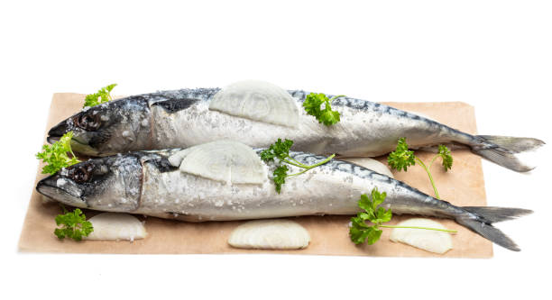 istock Fresh Mackerels with onion and parsley on baking paper isolated on white 1185222343