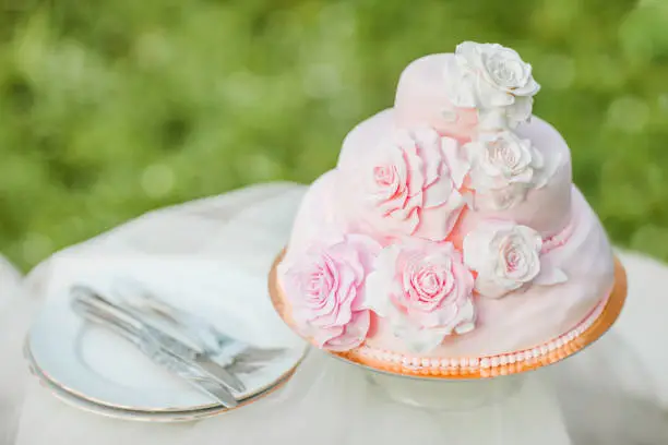 Pink and white wedding cake decorated with mastice rosette. Cake is on the table in front of natural green blurry background. Example of wedding serving.