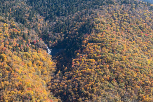 istock Glassmine Falls View Along Blue Ridge Parkway 1185224493
