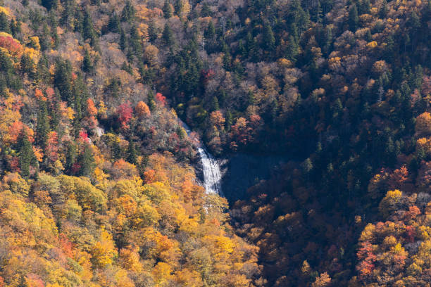 Blue Ridge Parkway near mile marker 361 View Glassmine Falls, located in the Asheville watershed supplying water to the Burnett Reservoir in North Carolina, USA.