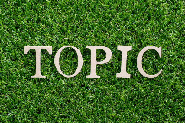 istock Wood letter in word topic on artificial green grass background 1185224746