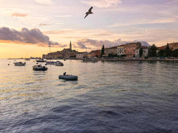 View of the historical city centre of Rovinj and harbour with sunset, Adriatic sea, Istria, Croatia. Some grain visible.