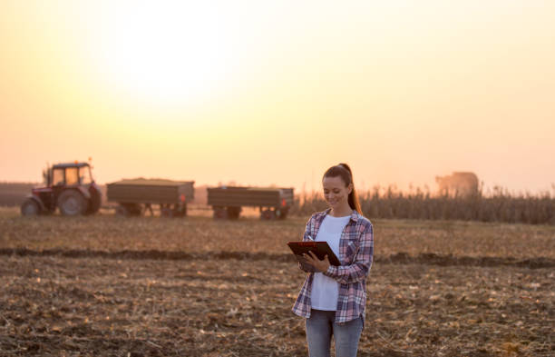 istock Farmer woman with notebook in field during harvest 1185227603
