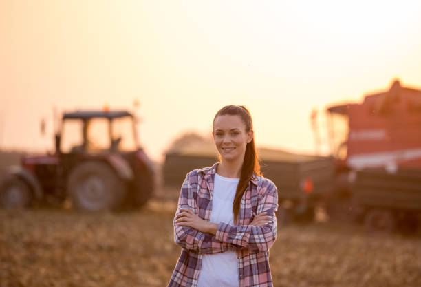 Portrait of farmer woman in field during harvest Satisfied young farmer woman standing with crossed arms in front of combine harvester and tractor with trailer in corn field agricultural occupation stock pictures, royalty-free photos & images