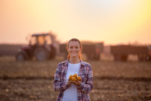 istock Farmer woman with corn cob in field during harvest 1185227646
