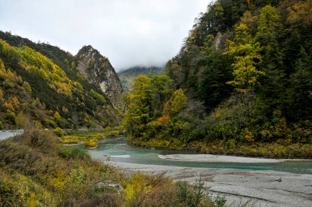 istock Stunning autumn colors in valley 1185228170