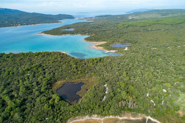 istock Lakes Osor, Cres, Croatia 1185228939