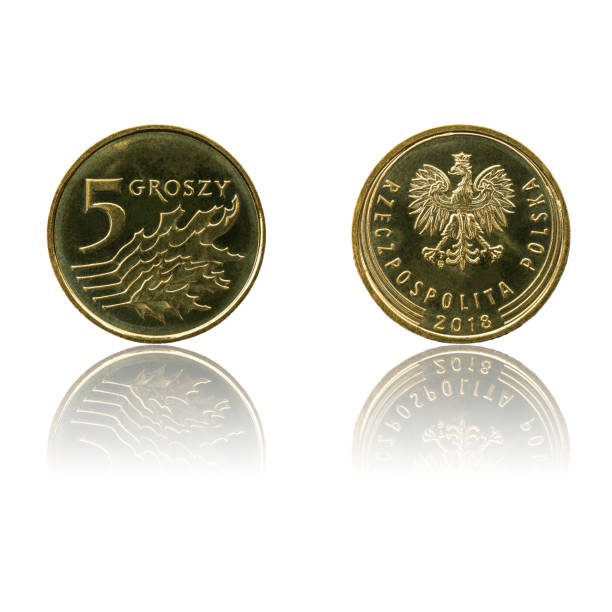 istock Polish currency 5gr coin isolated on white background with reflection. 1185229349
