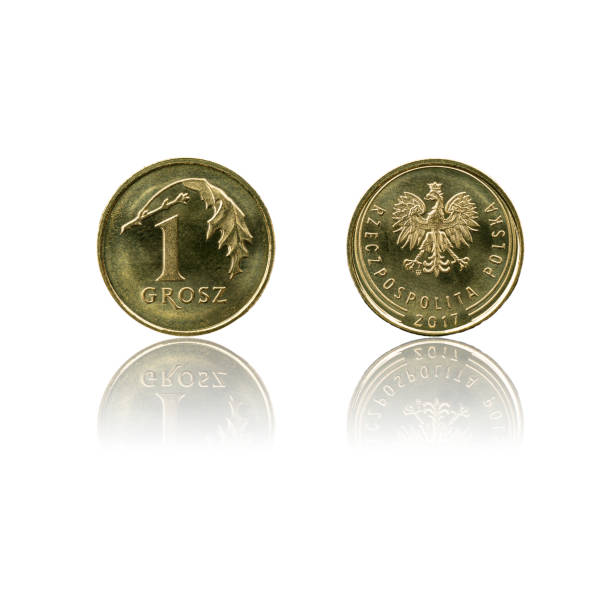 istock Polish currency 1gr coin isolated on white background with reflection. 1185229437