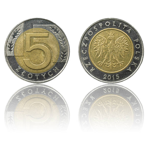 istock Polish currency 5zl coin isolated on white background with reflection. 1185229472