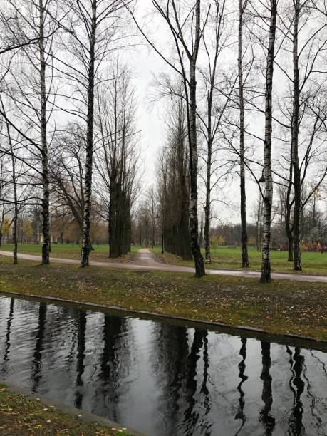 istock Canal in the autumn park. River 1185230254