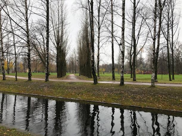 istock Canal in the autumn park. River 1185230271