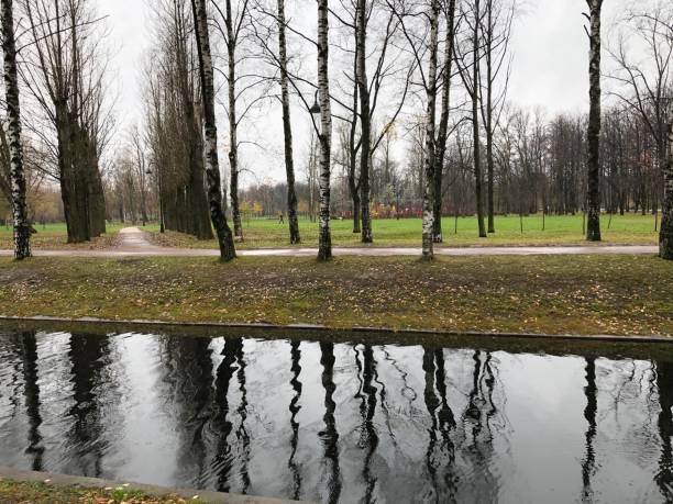 istock Canal in the autumn park. River 1185230301