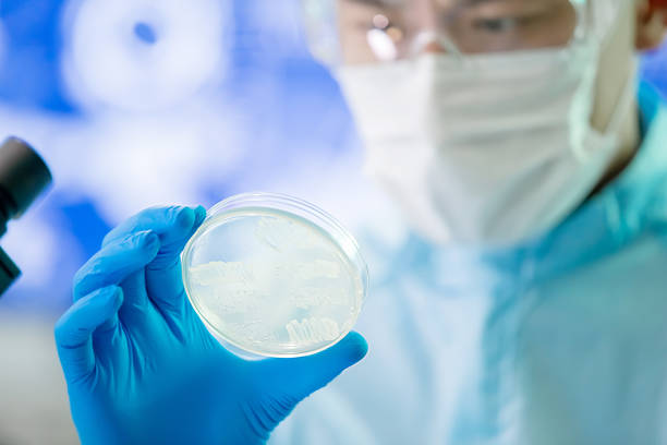 istock Asian scientist take petri dish 1185230425
