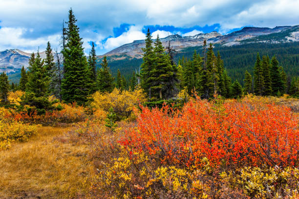 istock The autumn Rocky Mountains 1185230777