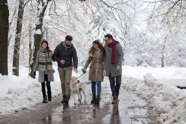 istock Friends walking dog on snow 1185231773