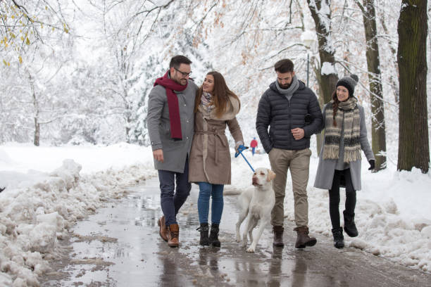 istock Friends walking dog on snow 1185231777