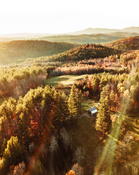 istock autumnal landscape in Vermont 1185231816