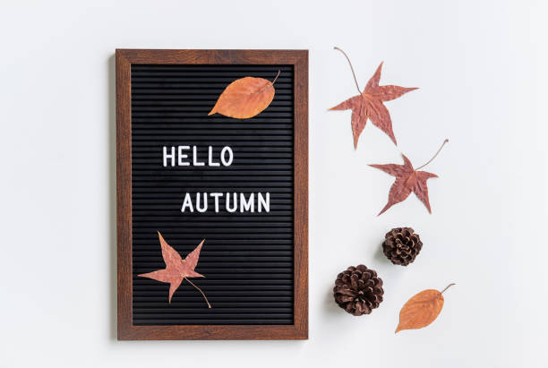 istock Hello autumn word with dried autumn leaves 1185233187