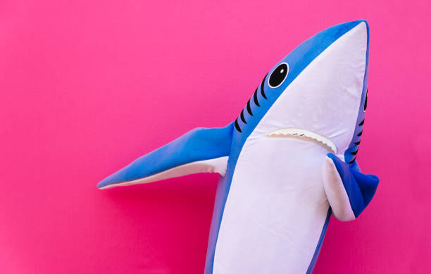 Character shark has a message for humanity about stop shark fishing and finning Character shark has a message for humanity about stop shark fishing and finning dab dance photos stock pictures, royalty-free photos & images