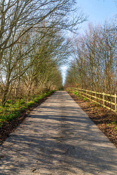 istock A Rural Road in Sussex 1185234708