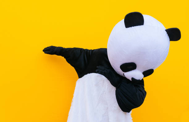 Person with panda costume dancing dab dance. Mascot character lifestyle concept on colored background Person with panda costume dancing dab dance. Mascot character lifestyle concept on colored background dab dance photos stock pictures, royalty-free photos & images