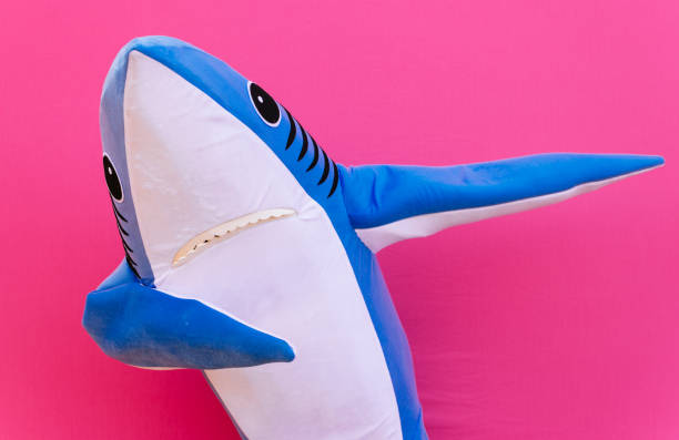 Character shark has a message for humanity about stop shark fishing and finning Character shark has a message for humanity about stop shark fishing and finning dab dance photos stock pictures, royalty-free photos & images