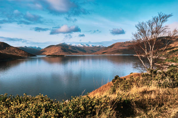 Loch Quoich in the Western Highlands of Scotland with its autumn colour and first snows.