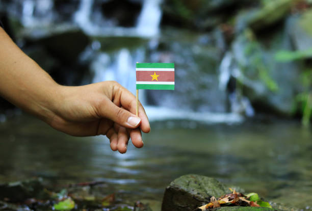 Young activist holds in his hands national flag of Surinam on wooden stick. Show us state symbol in the natural environment. Concept of love to her country and humanity. Beauty of nature in background stock photo