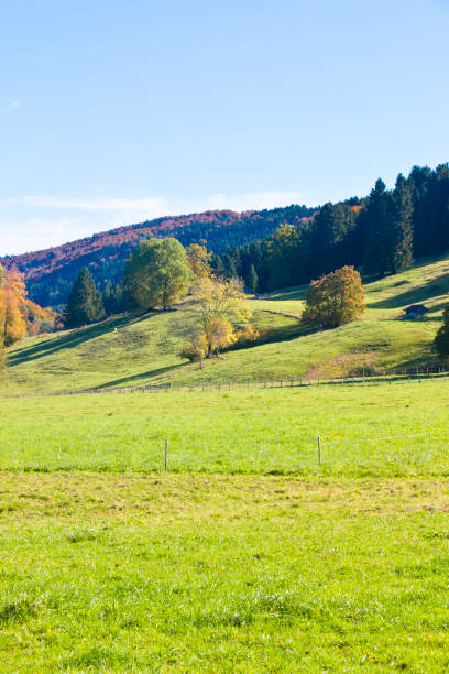 istock Bavarian landscape with hill range and mountains in background 1185236203