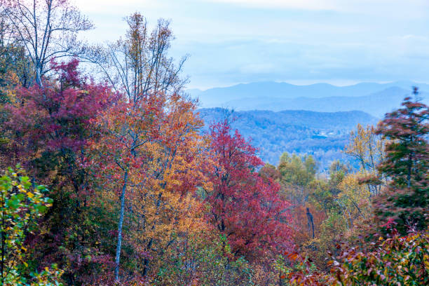 amazing view of the north carolina appalachians in autumn - famous place appalachian mountains autumn awe imagens e fotografias de stock