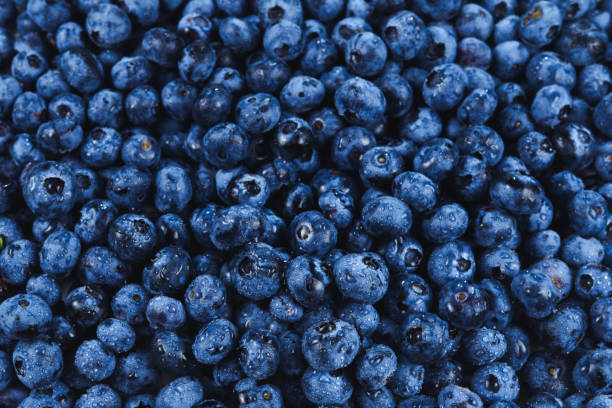 istock Fresh blueberry background. Texture blueberry berries close up. 1185236569