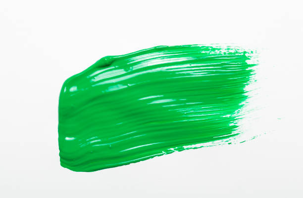 istock brush print with green paint on a white background 1185237322