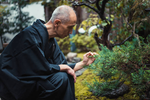 Japanese man meditating in his garden Japanese man meditating in his garden kimono photos stock pictures, royalty-free photos & images