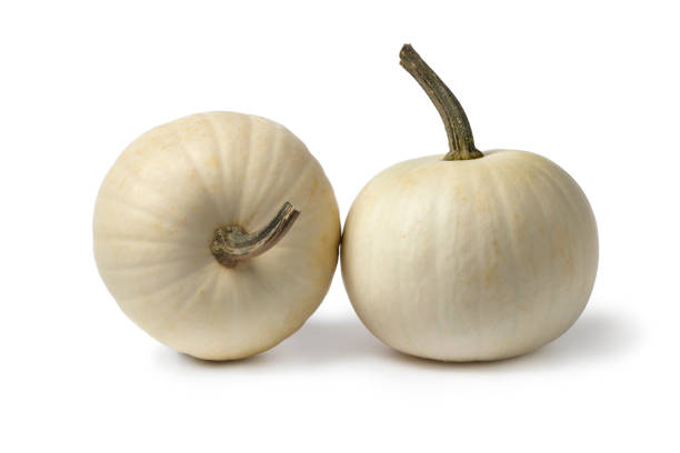istock Pair of white Lumina pumpkins 1185238610