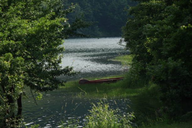 istock Lake in the summer 1185242071