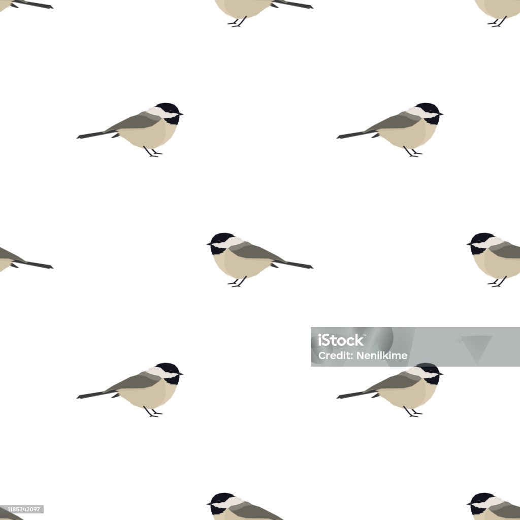 Vector Illustration Chickadee Seamless Pattern Stock Illustration ...
