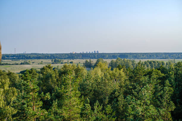 istock countryside landscape of fields and forests in summer 1185245196